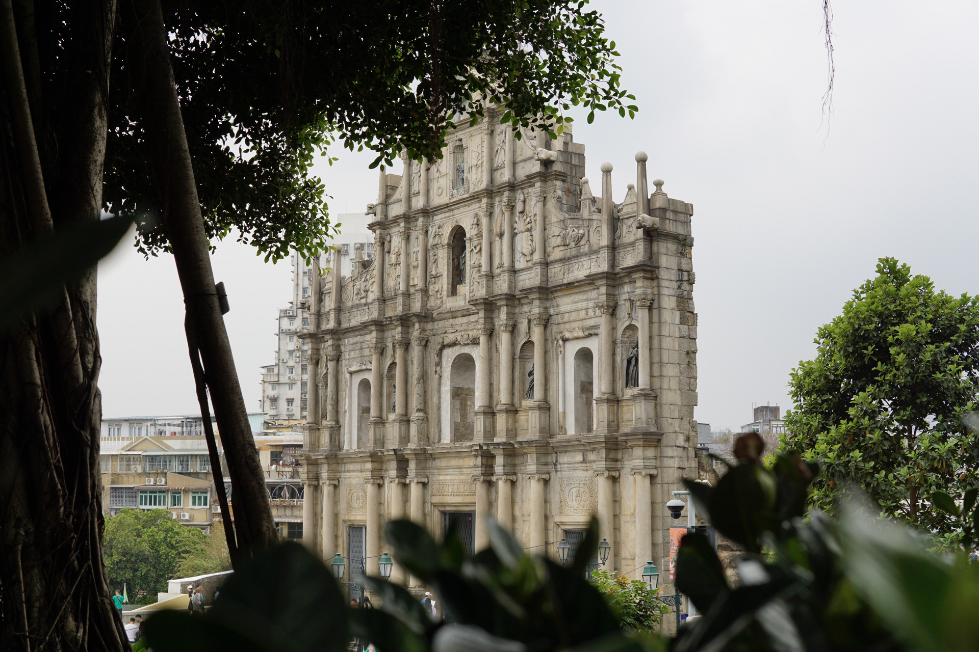 澳门，任务完成与学习技能详细步骤指南