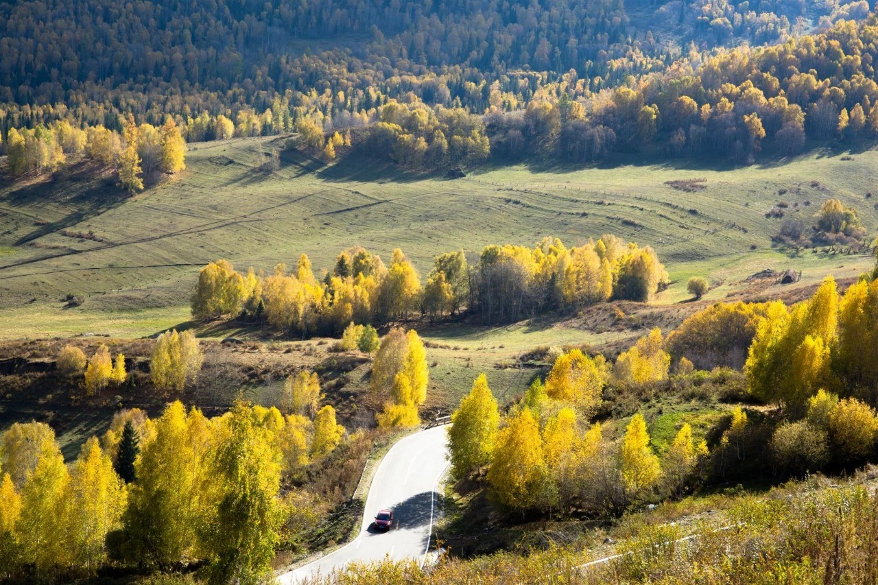 探寻新疆之美，五大理由揭秘神秘大美新疆